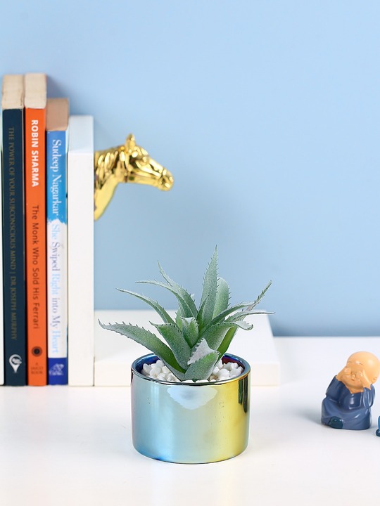 Artificial Succulent Plant with Ceramic Pot