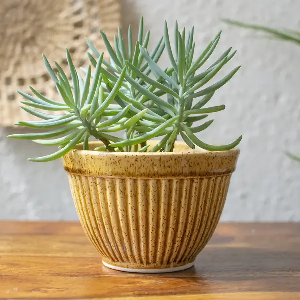 Ceramic Planter Pot with Drain Hole and Base Mesh in Brown, Small