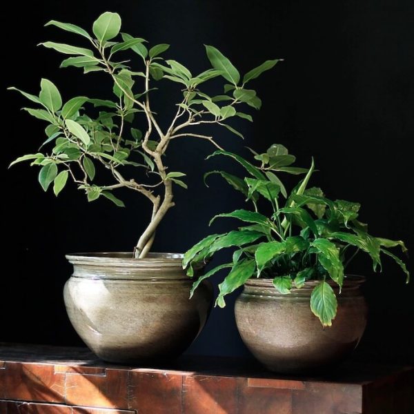 Metal Pot with Ceramic Finish in Light Brown (Sizes Available)