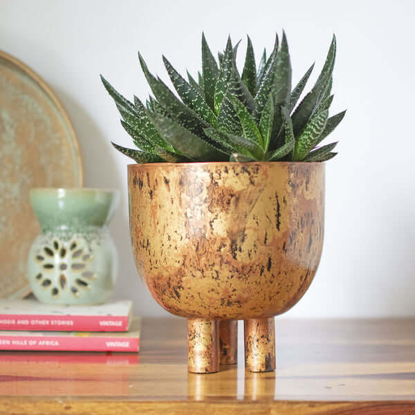 Metallic Planter in Gold Tone