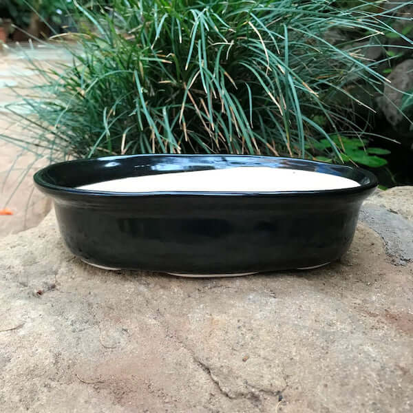 Oval Ceramic Tabletop Planter in Black