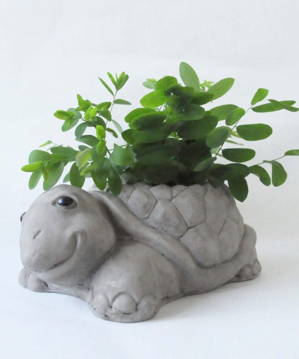 Stone Finish, Fiber Tortoise Planter