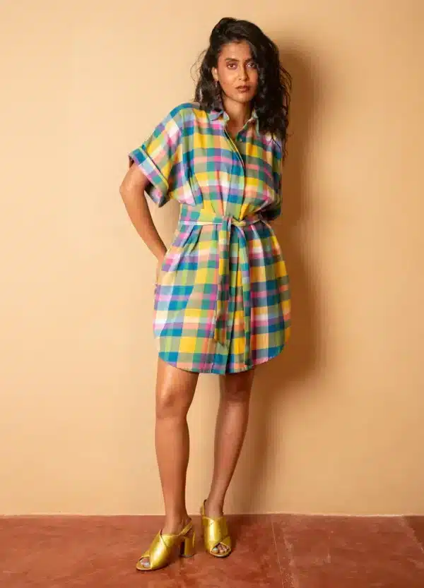 Picnic Shirt Dress